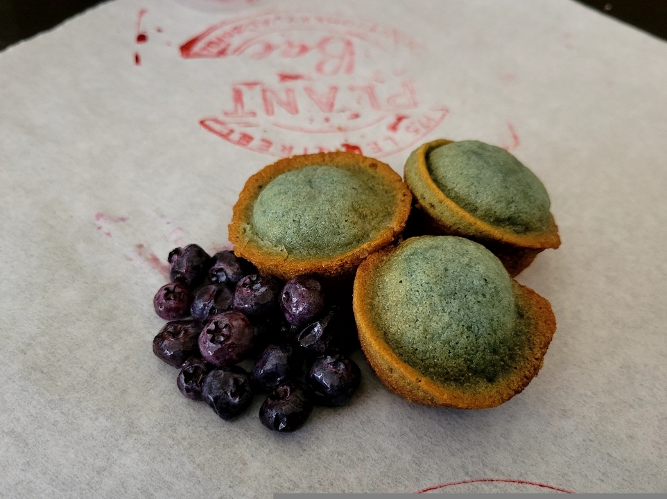 Mini Blueberry Muffins (3).