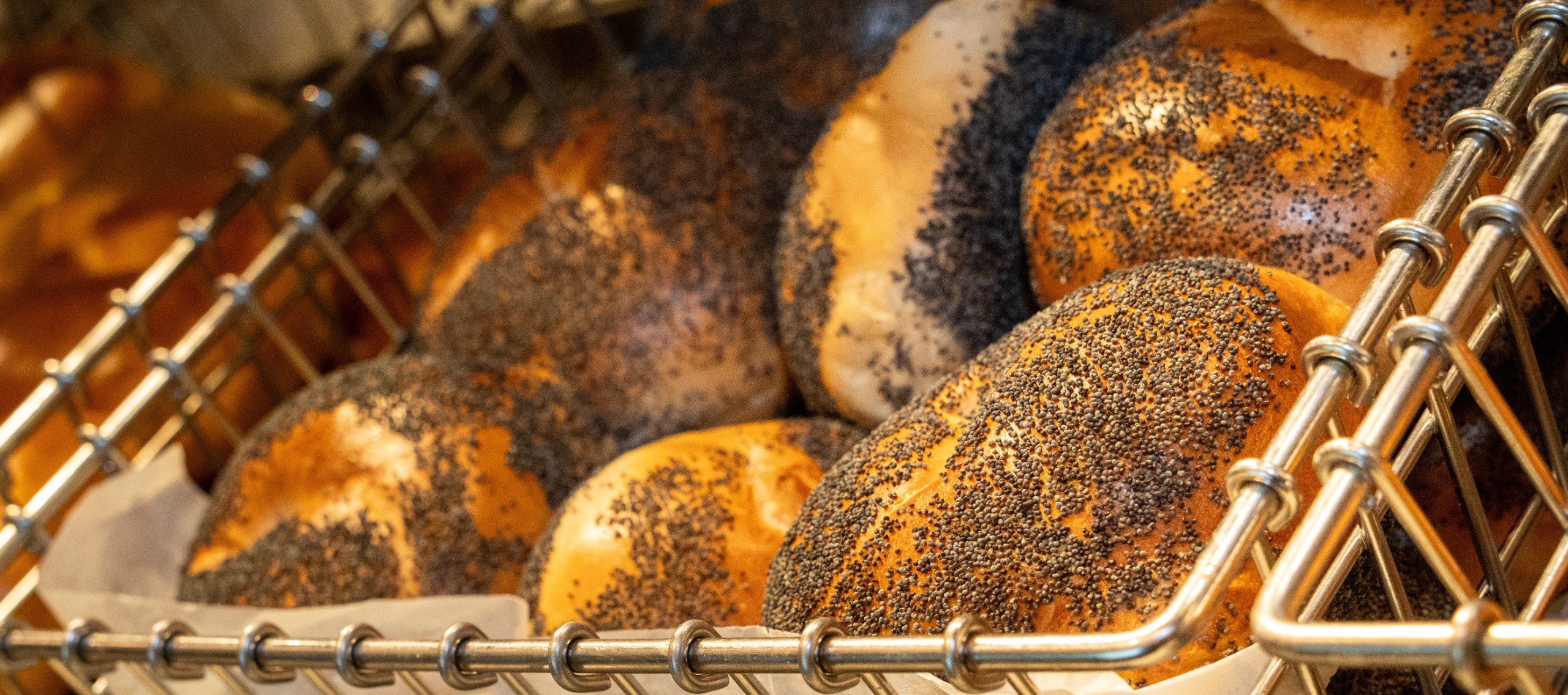 Single Bagel.