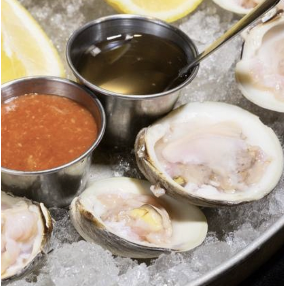 Oysters (6).