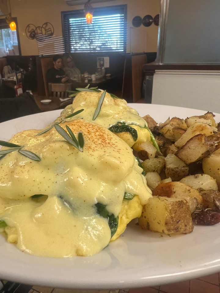 MEDITERRANEAN BENEDICT TOGO.