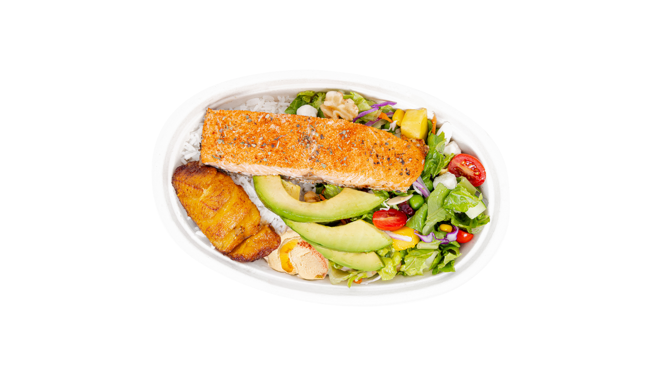 Salmon Bowl (3DP).