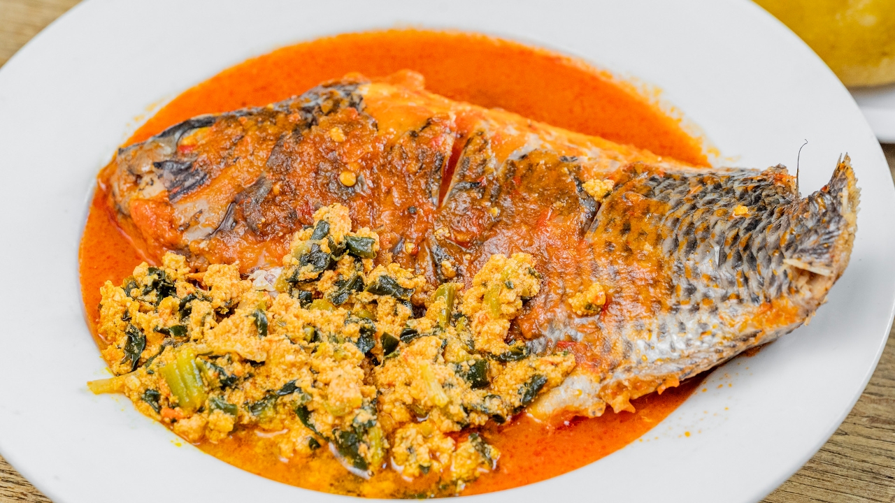Tilapia.