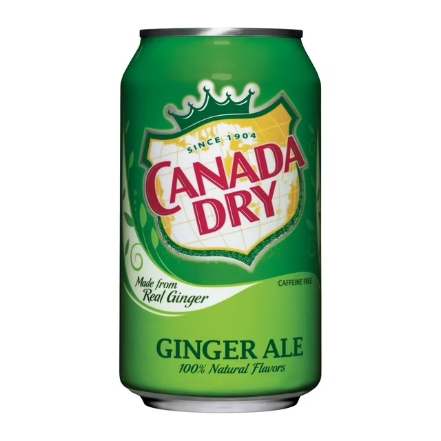 Ginger Ale (Can 12oz).