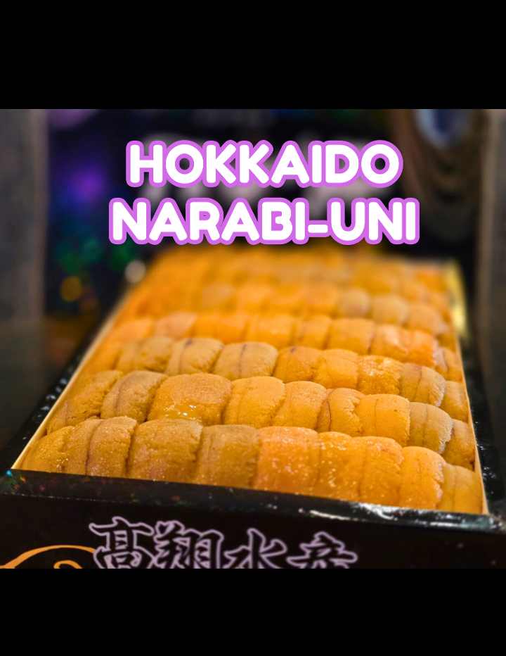 Hokkaido Uni**.