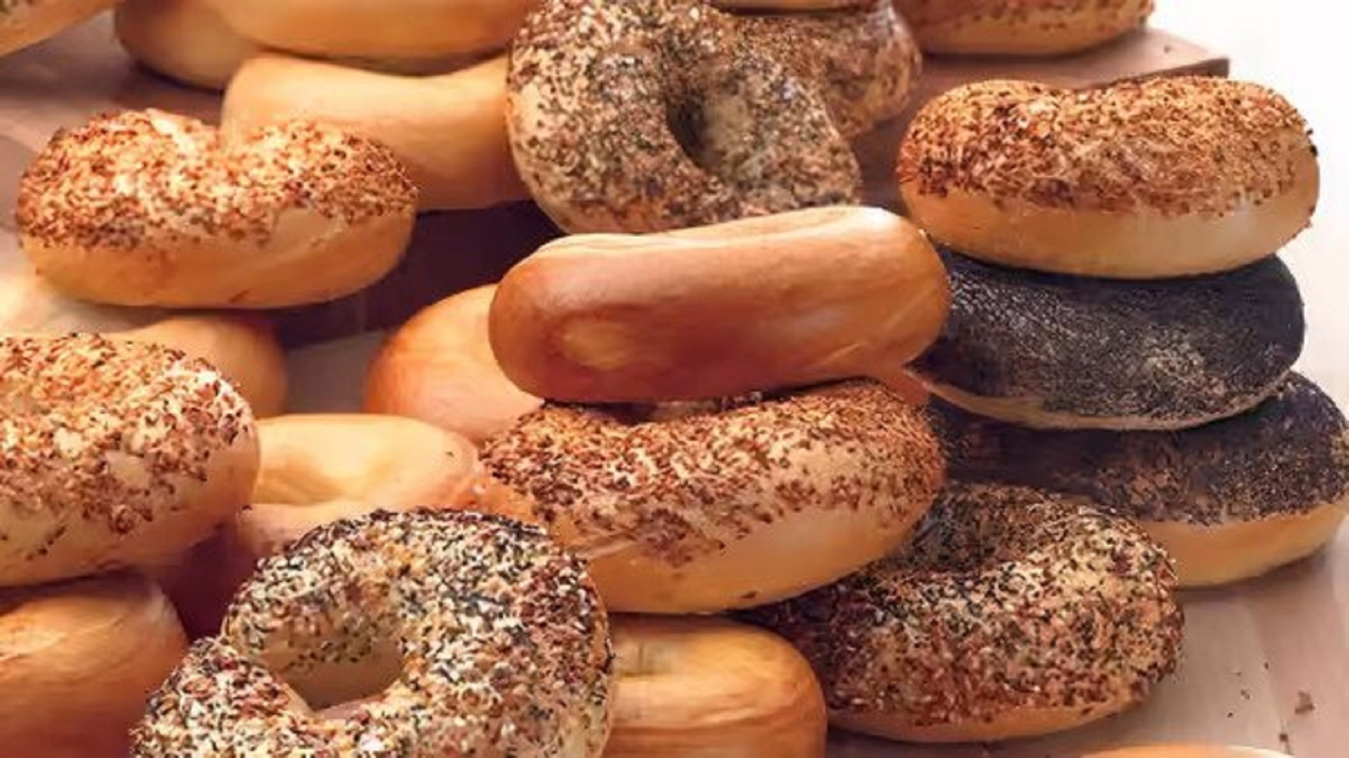 ~~~ DOZEN Bagels ~~~.