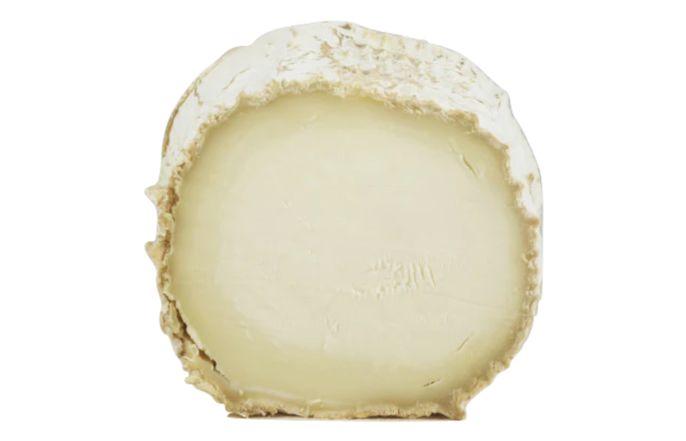 Bucherondin (0.5lbs)