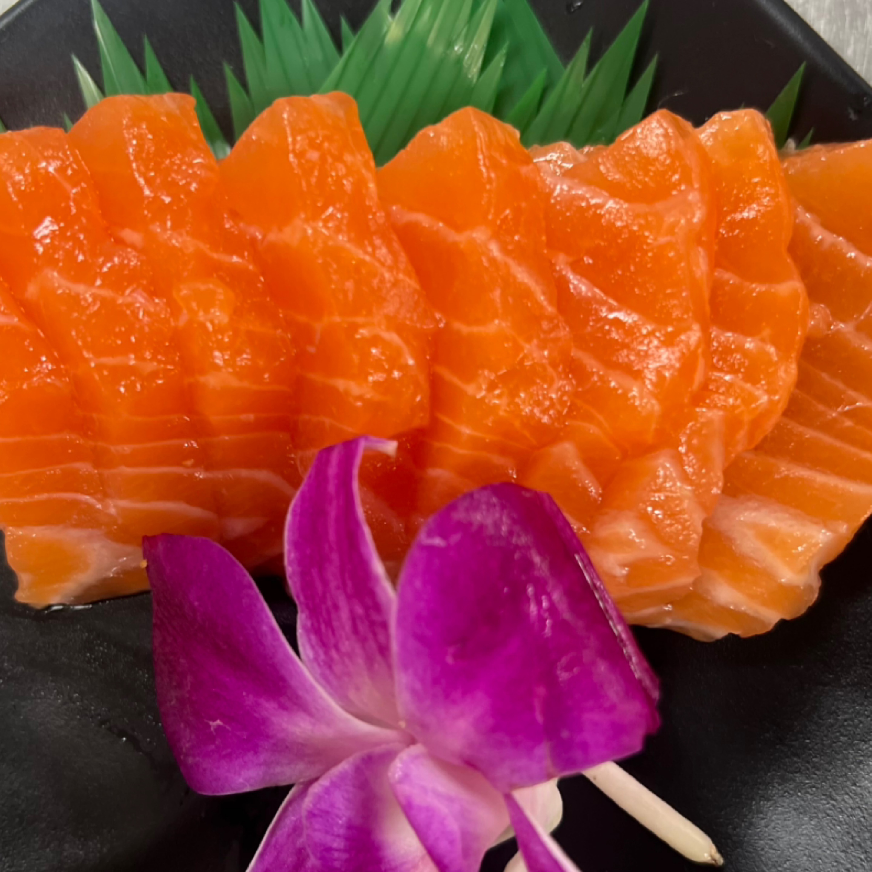 Salmon Sashimi.