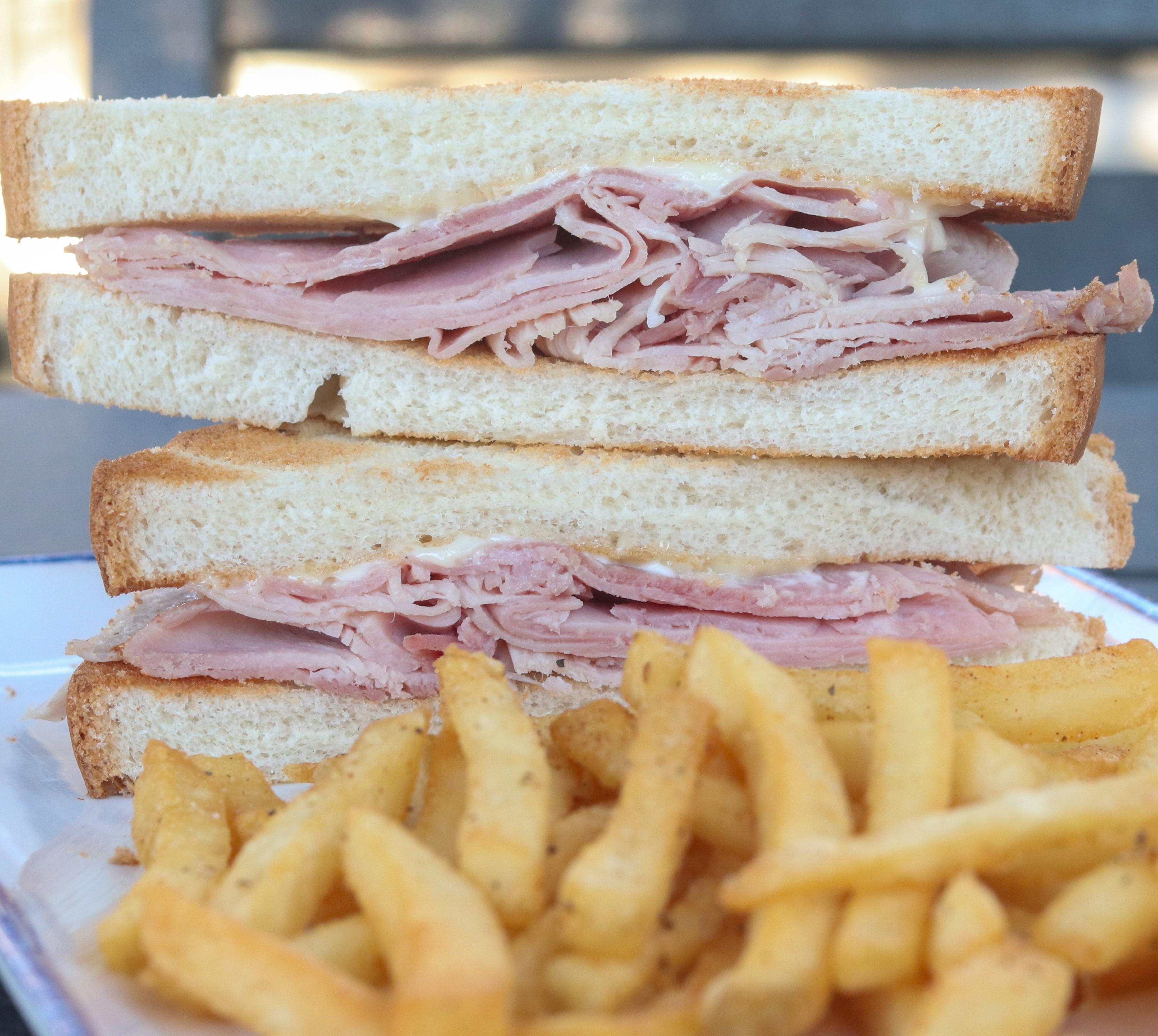 Kids Turkey Sandwich & Fries.