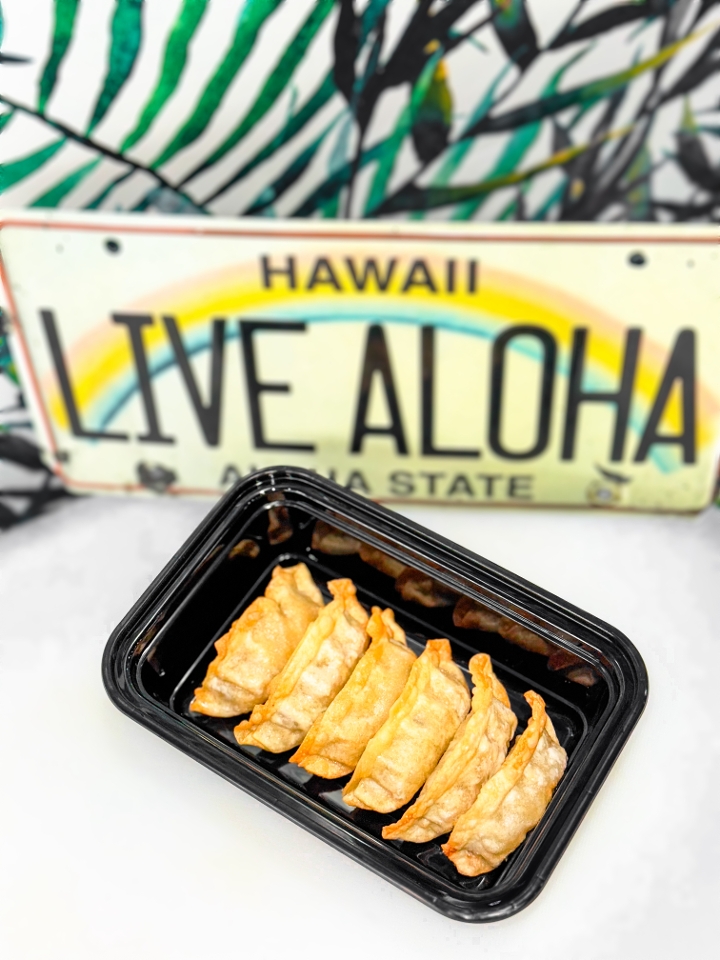 Fried Chicken Gyoza (6).