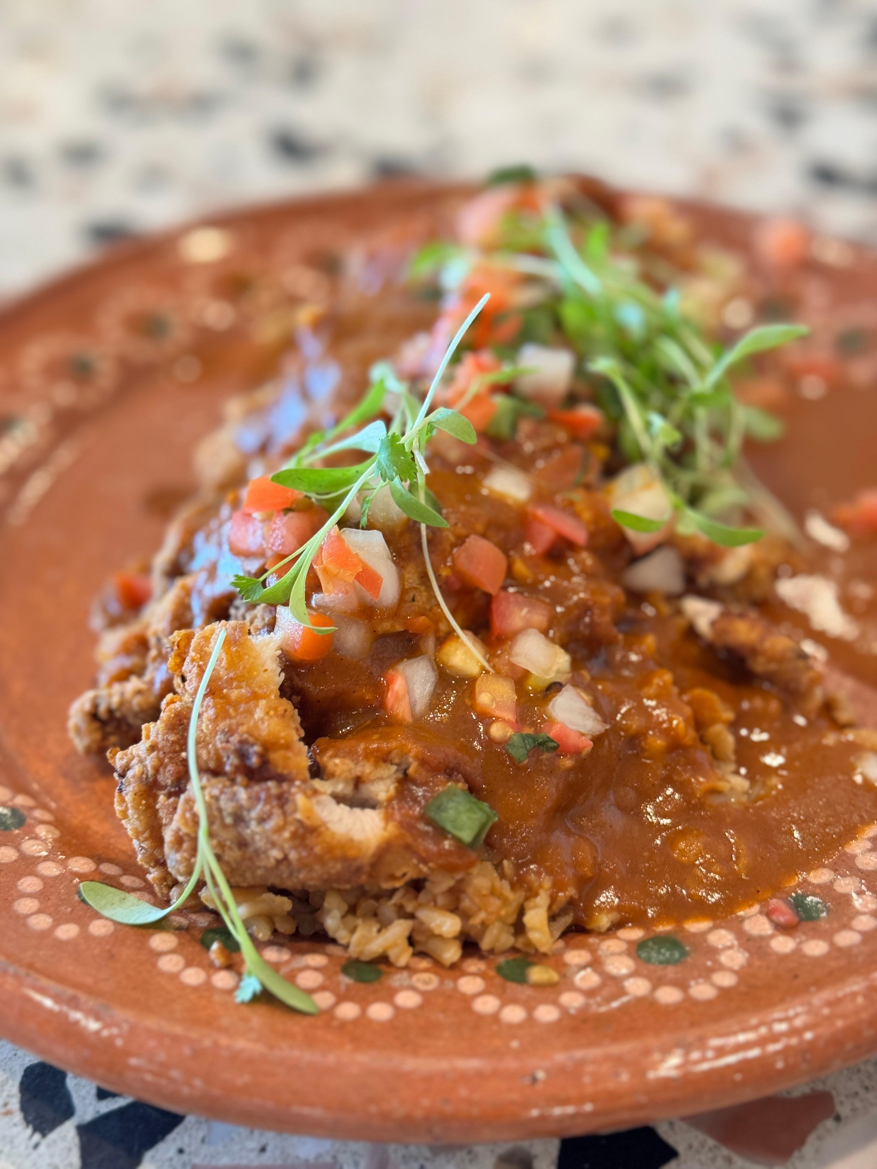 Chicken Japanese Curry Mole.