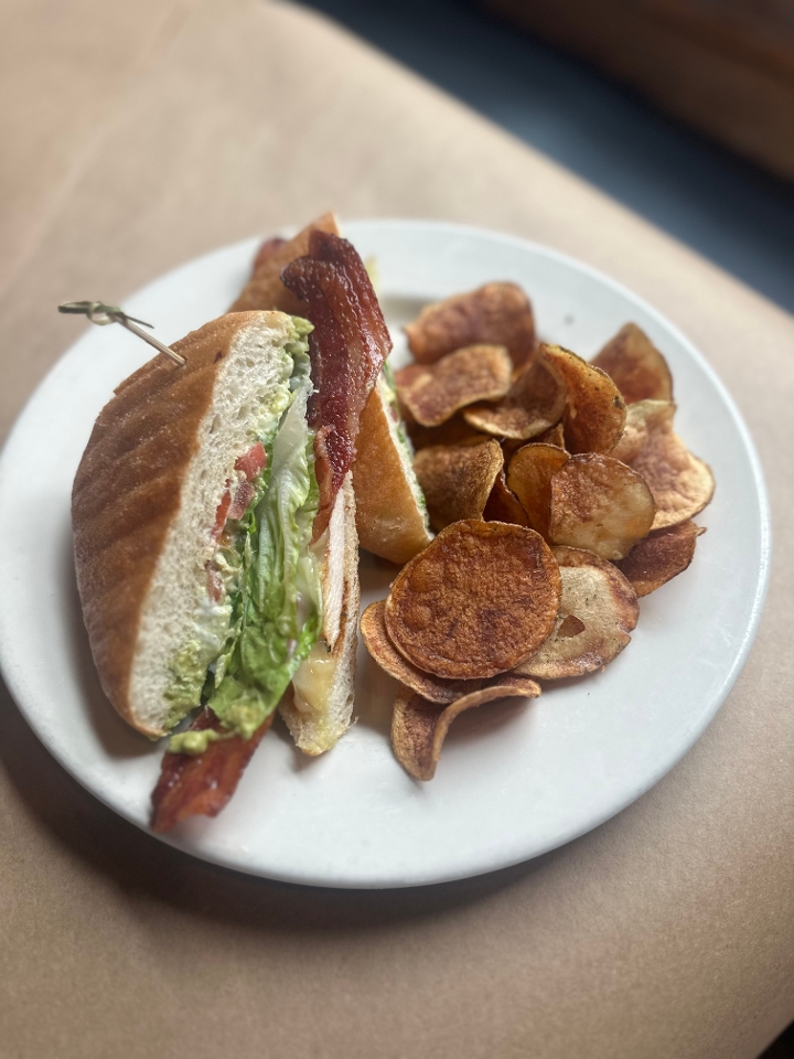 Chicken Bacon Club Panini.
