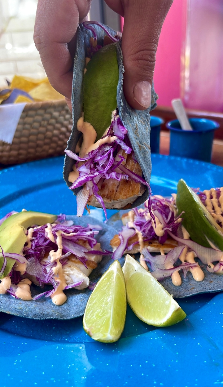 Tacos Mahi-Mahi Fish.