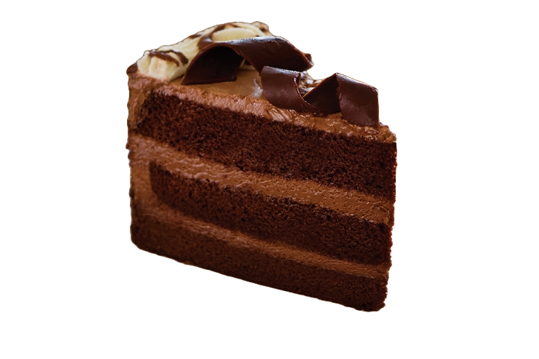 Chocolate Mousse Cake Slice.
