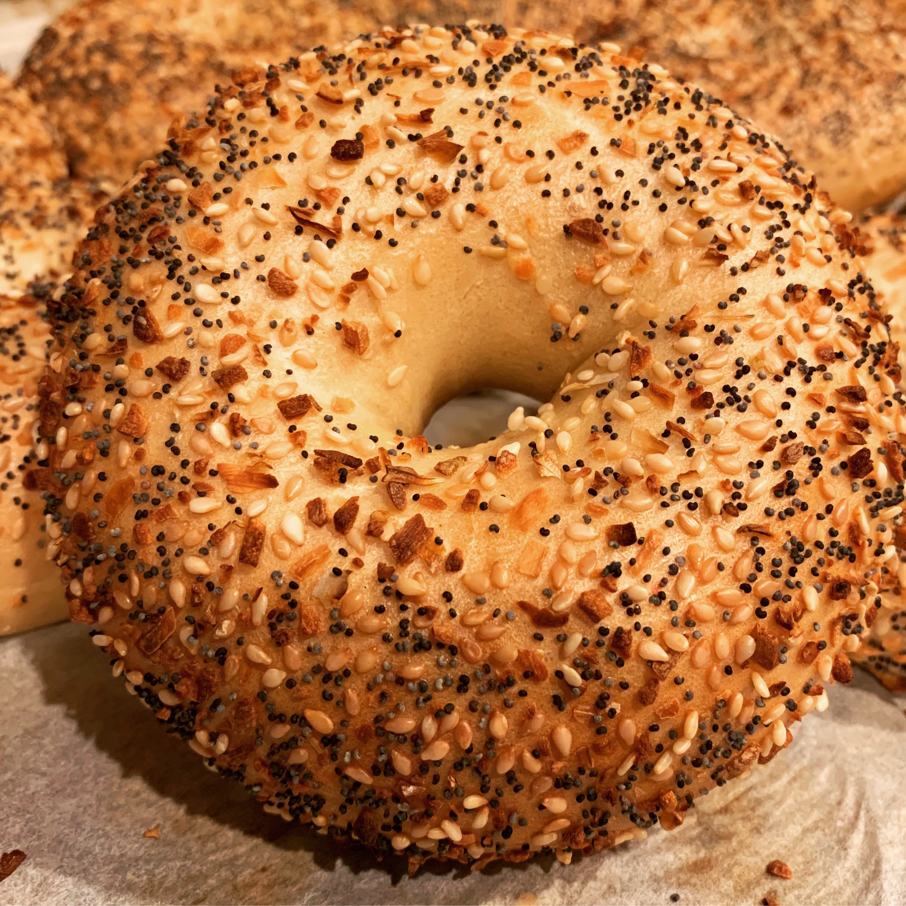 A Simple Bagel. (Plain Type).