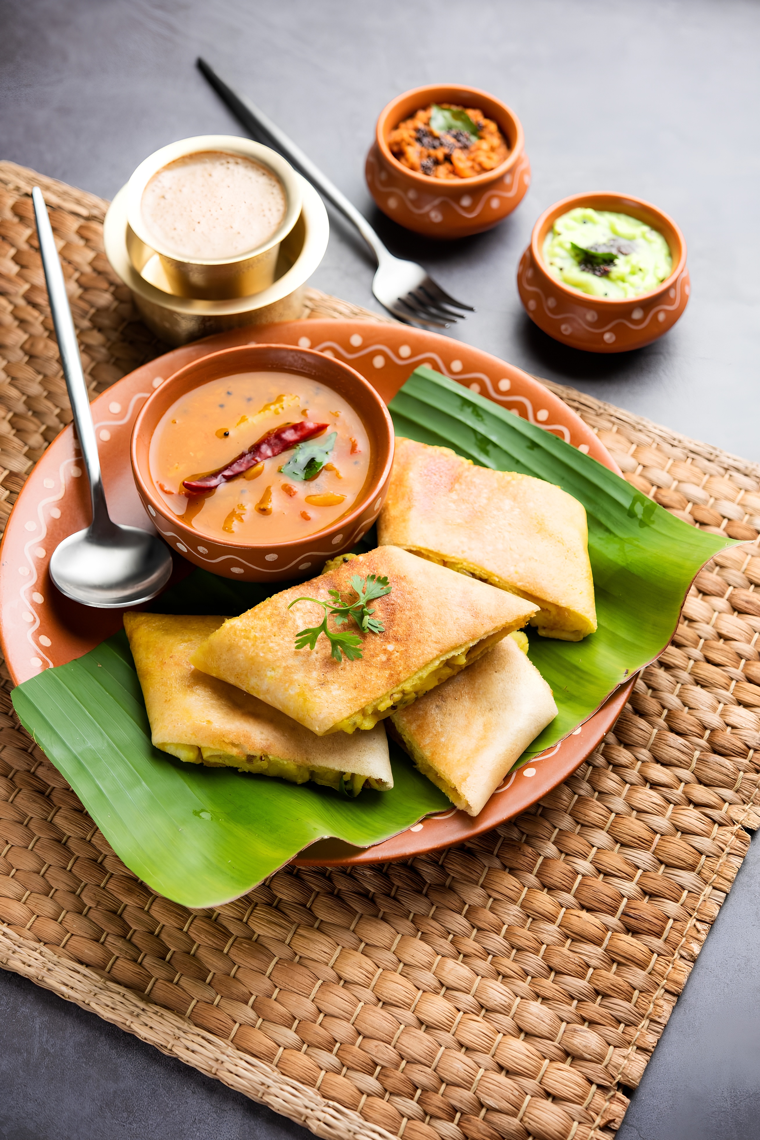 C.t Special Dosa.