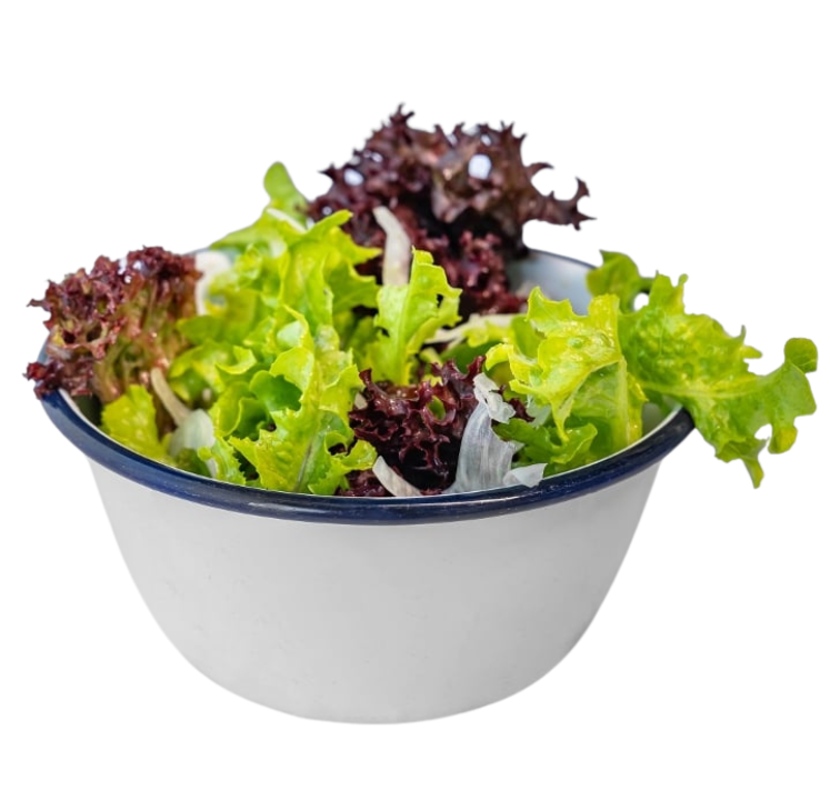 Market Salad Full