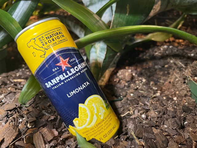San Pellegrino Limonata.
