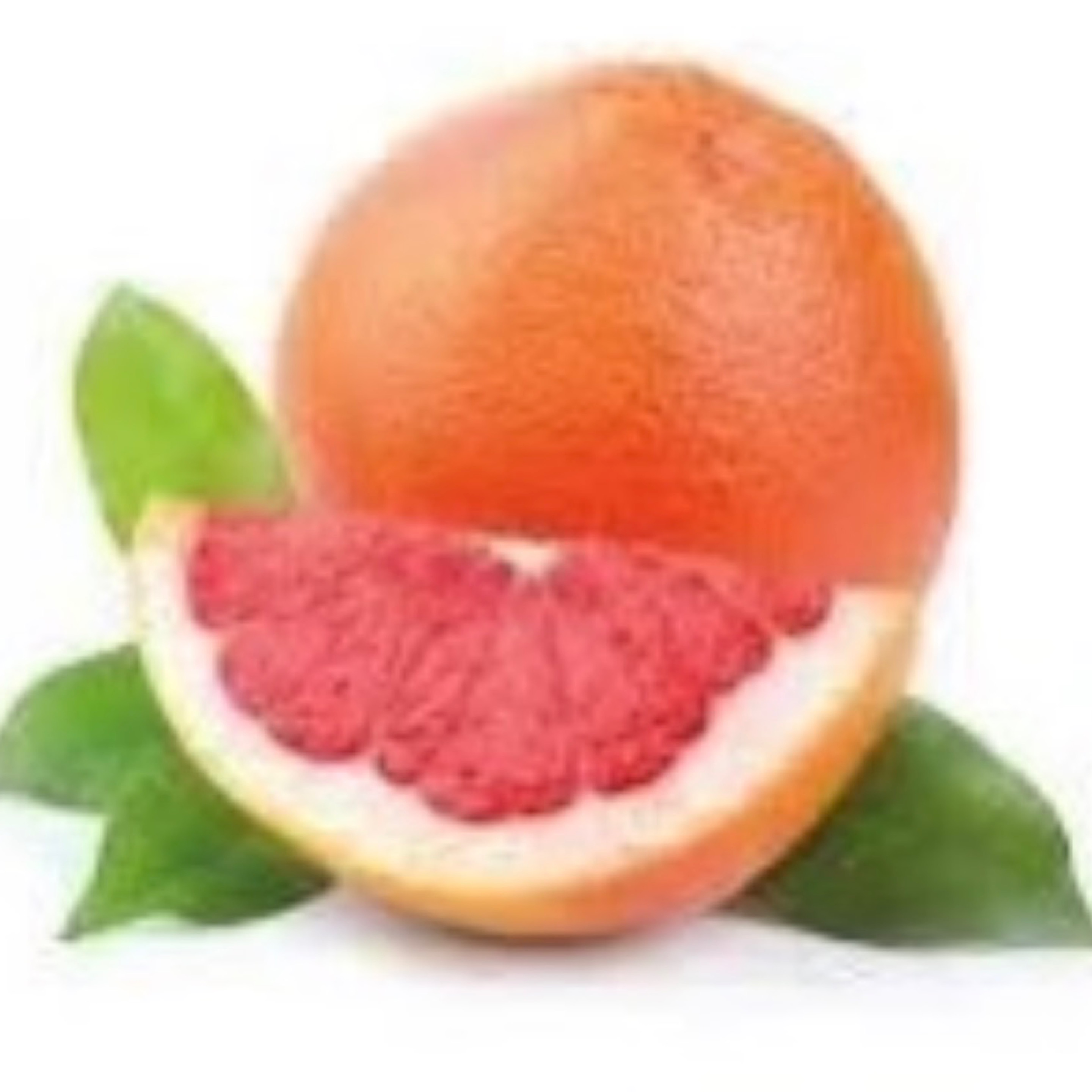 Grapefruit Paradise.