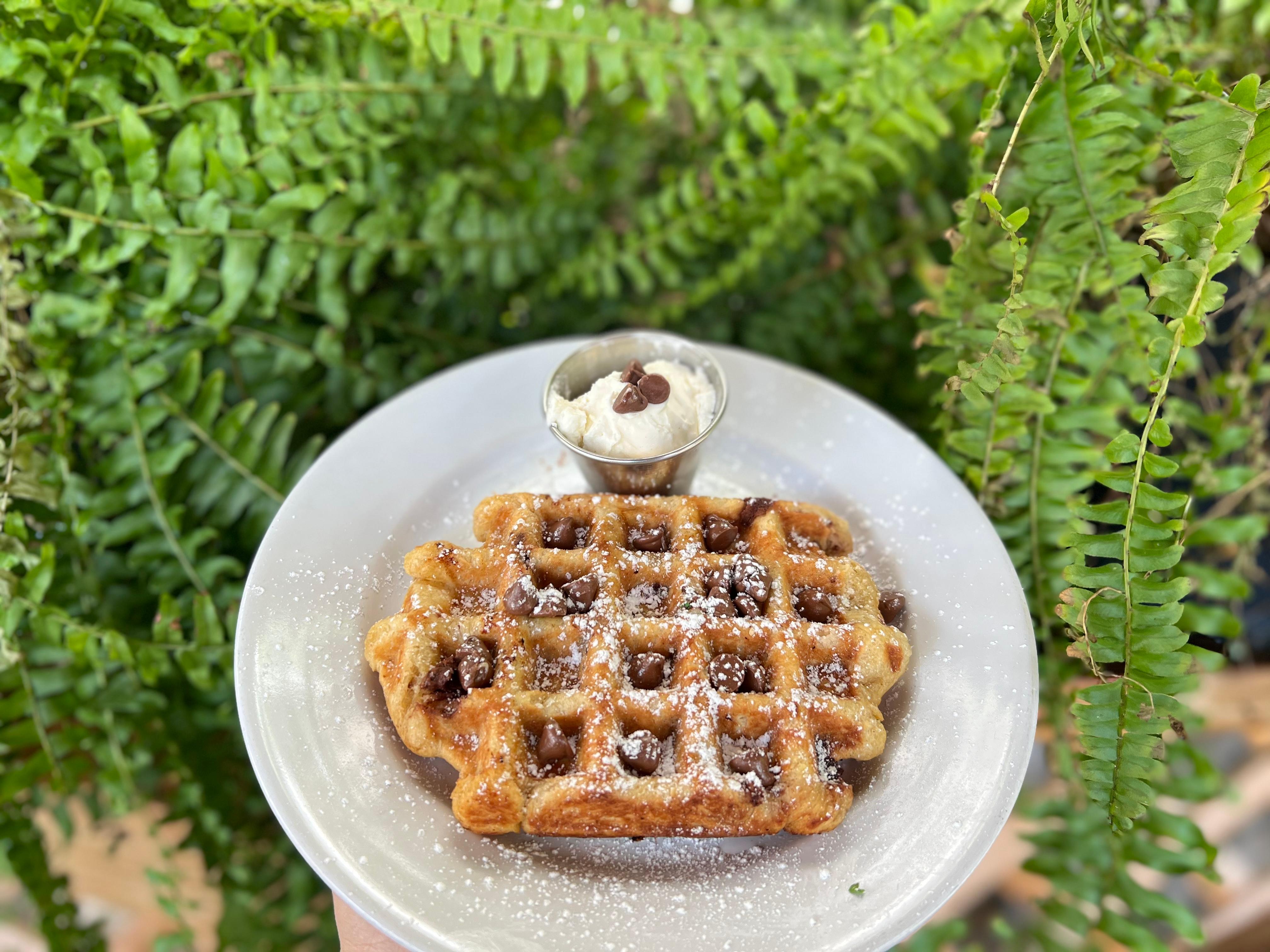 Chocolate Chip Waffle.