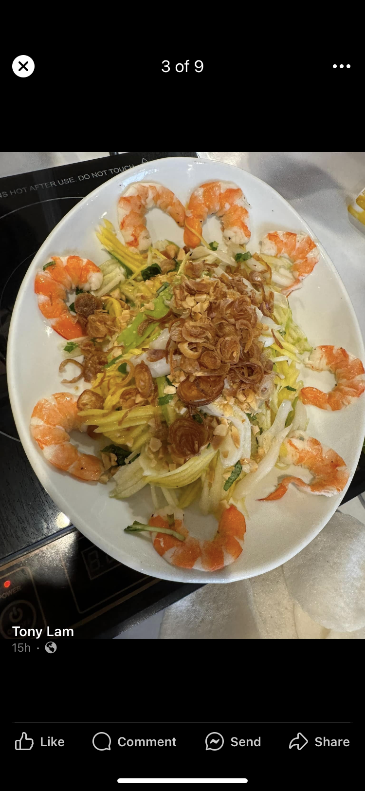 A7 -grilled pork spring roll -goi cuon thit nuong.