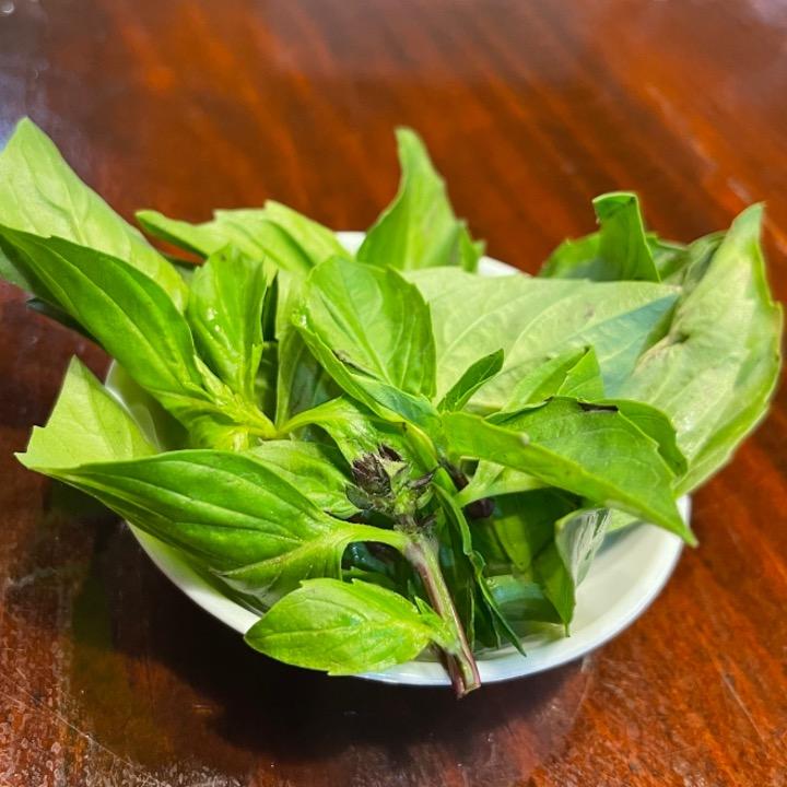 SIDE Basil.