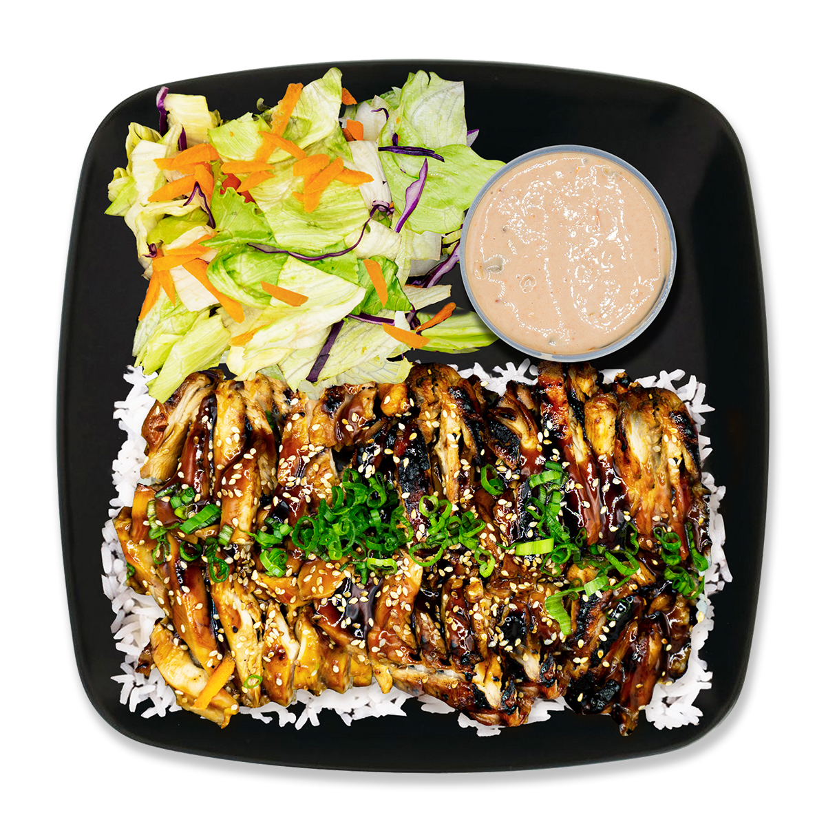 Chicken Teriyaki Plate.