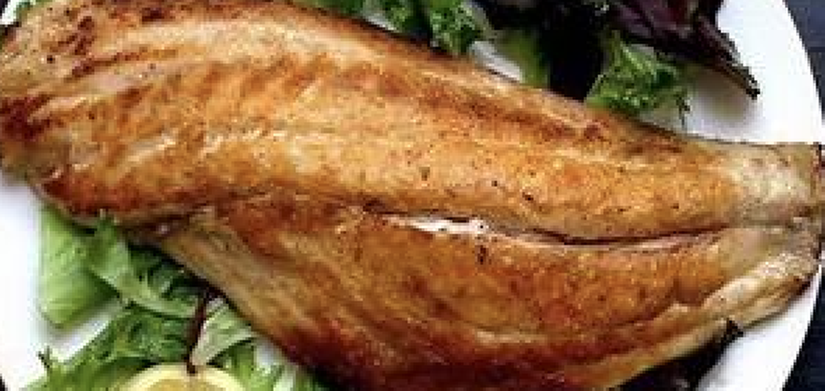 Snapper Filet.