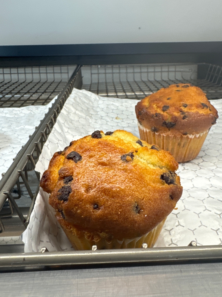 Chocolate Chip Muffin.