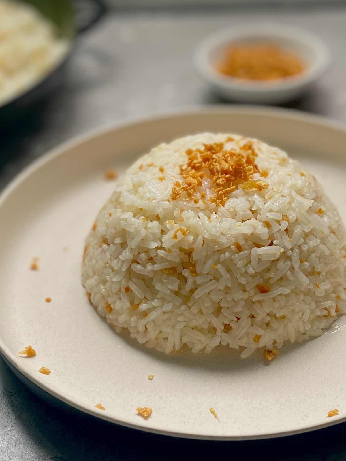 Garlic Fried Rice.