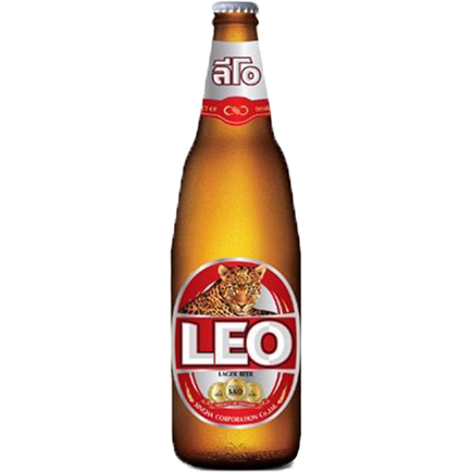 Leo Large