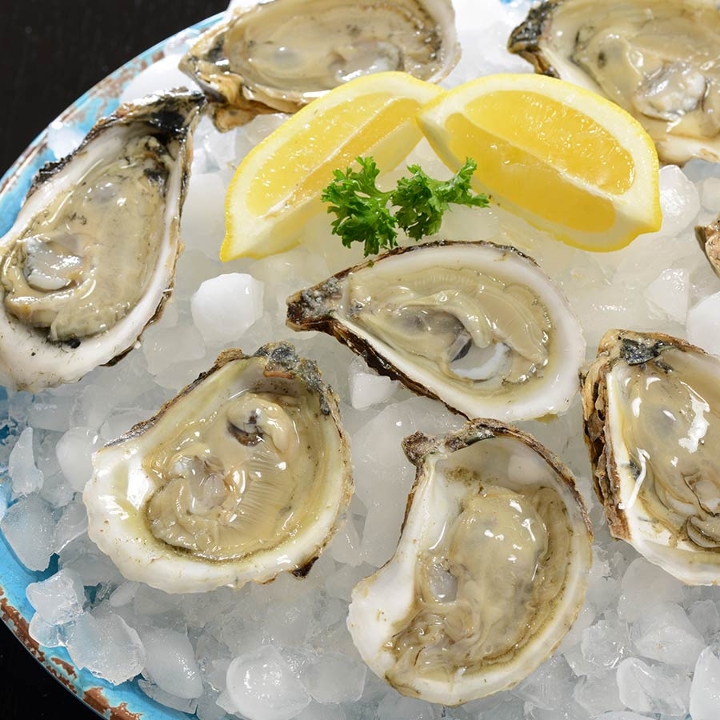 OYSTERS ON THE HALF SHELL.