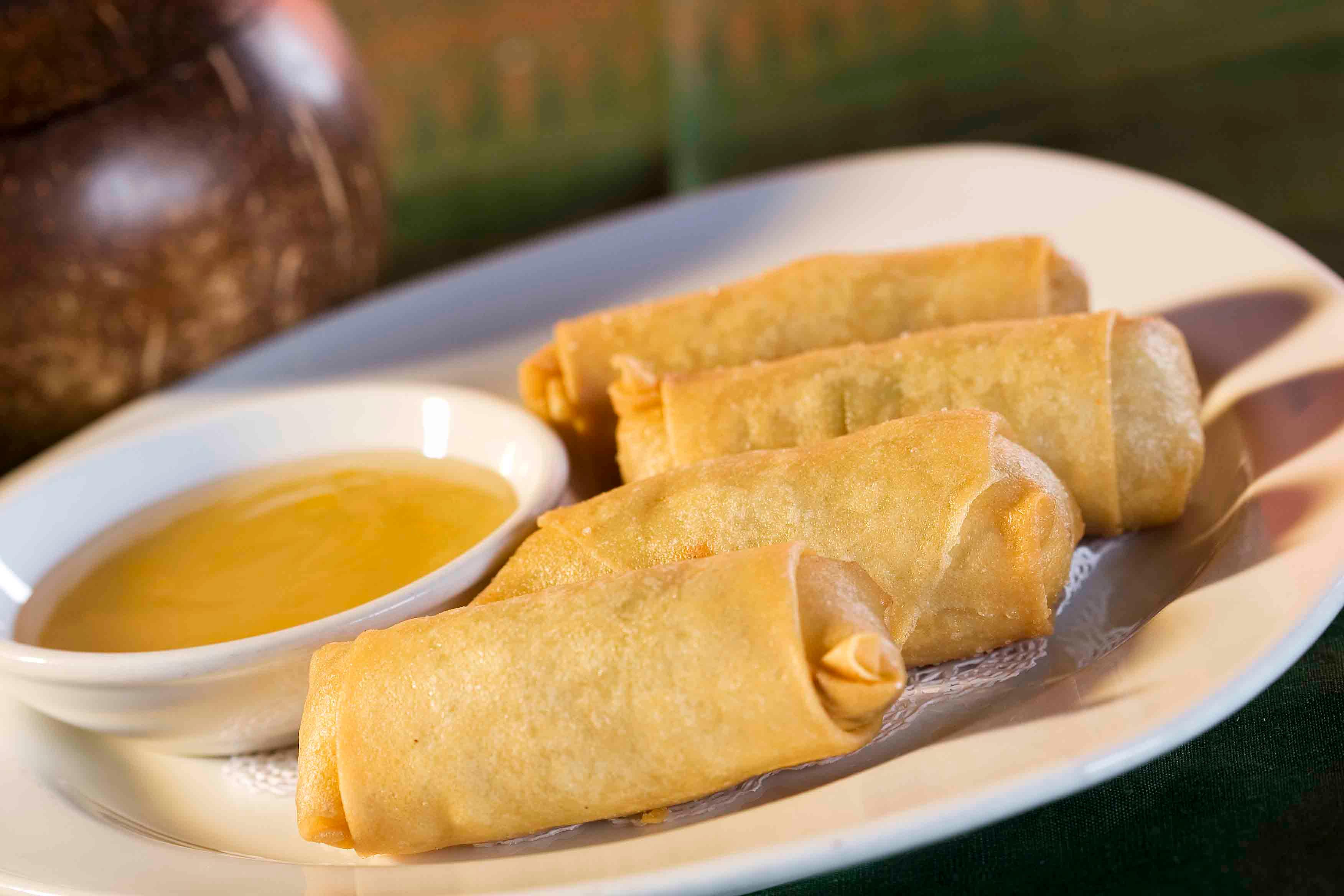 Vegetable Spring Rolls (4).