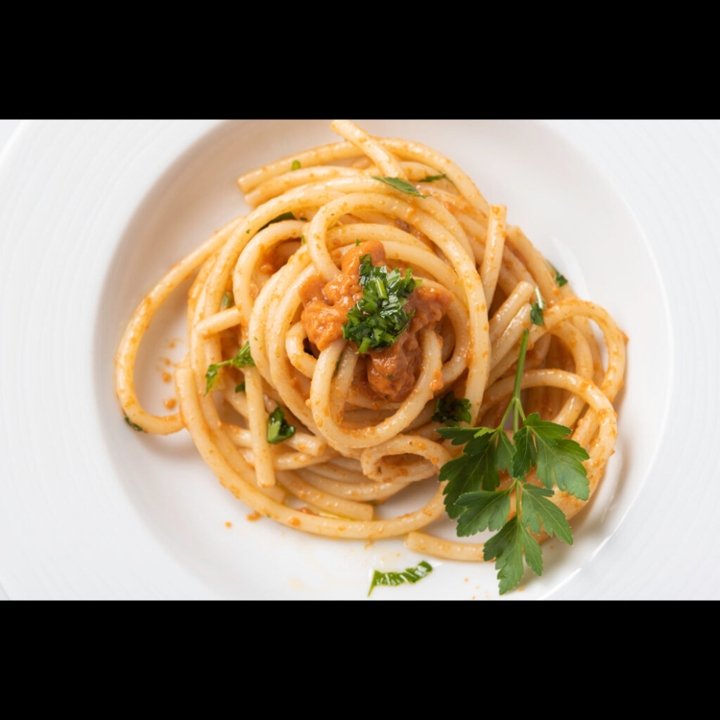 Uni Cream Pasta.