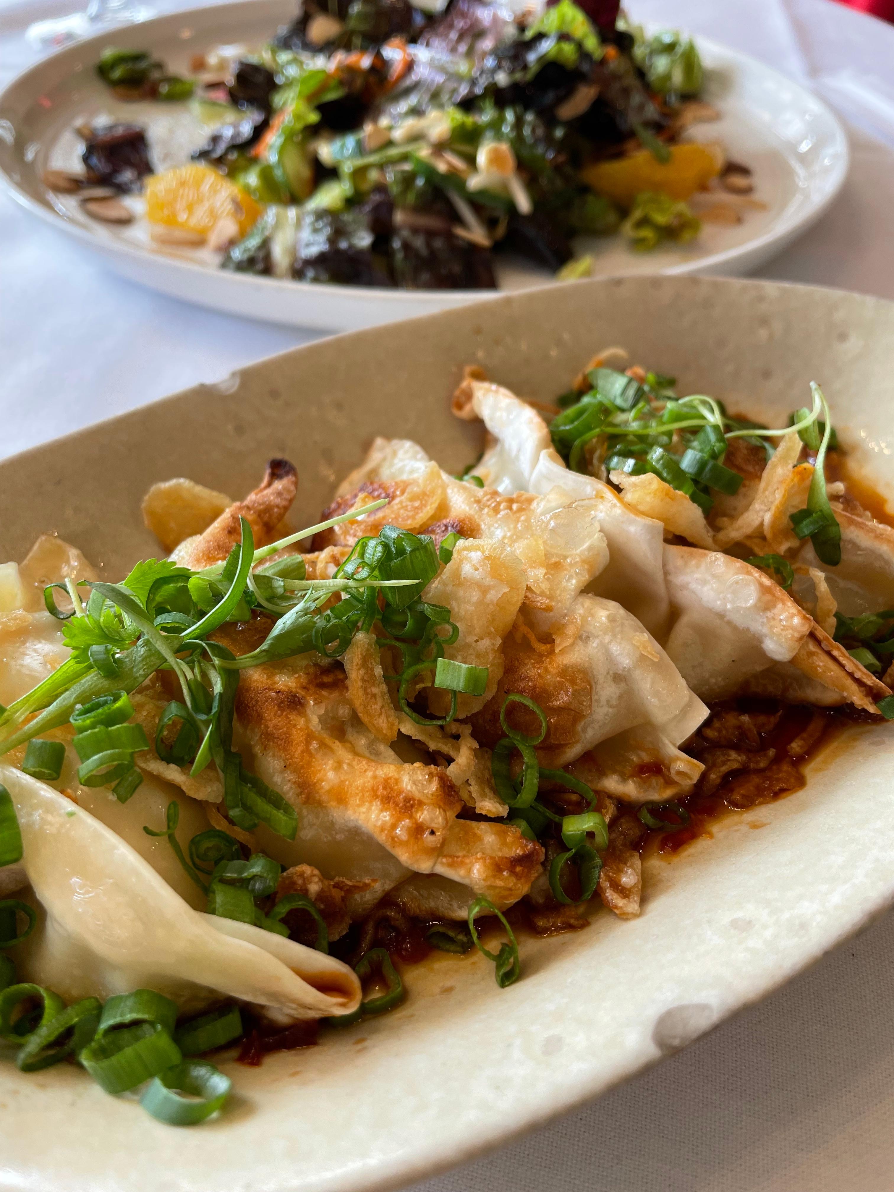 VEGETABLE DUMPLINGS.