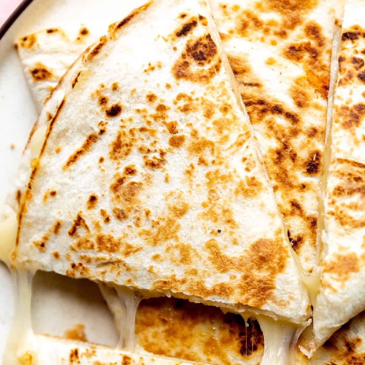 Ala Chicken Quesadilla.