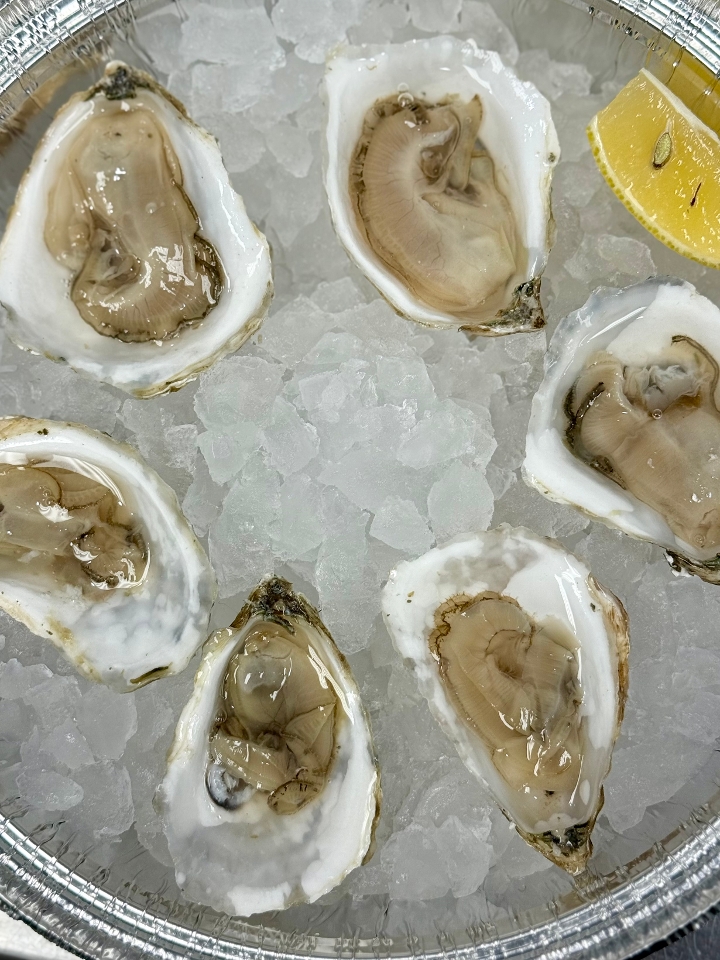Oysters.