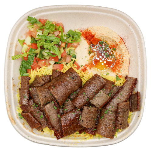 Gyro Plate.