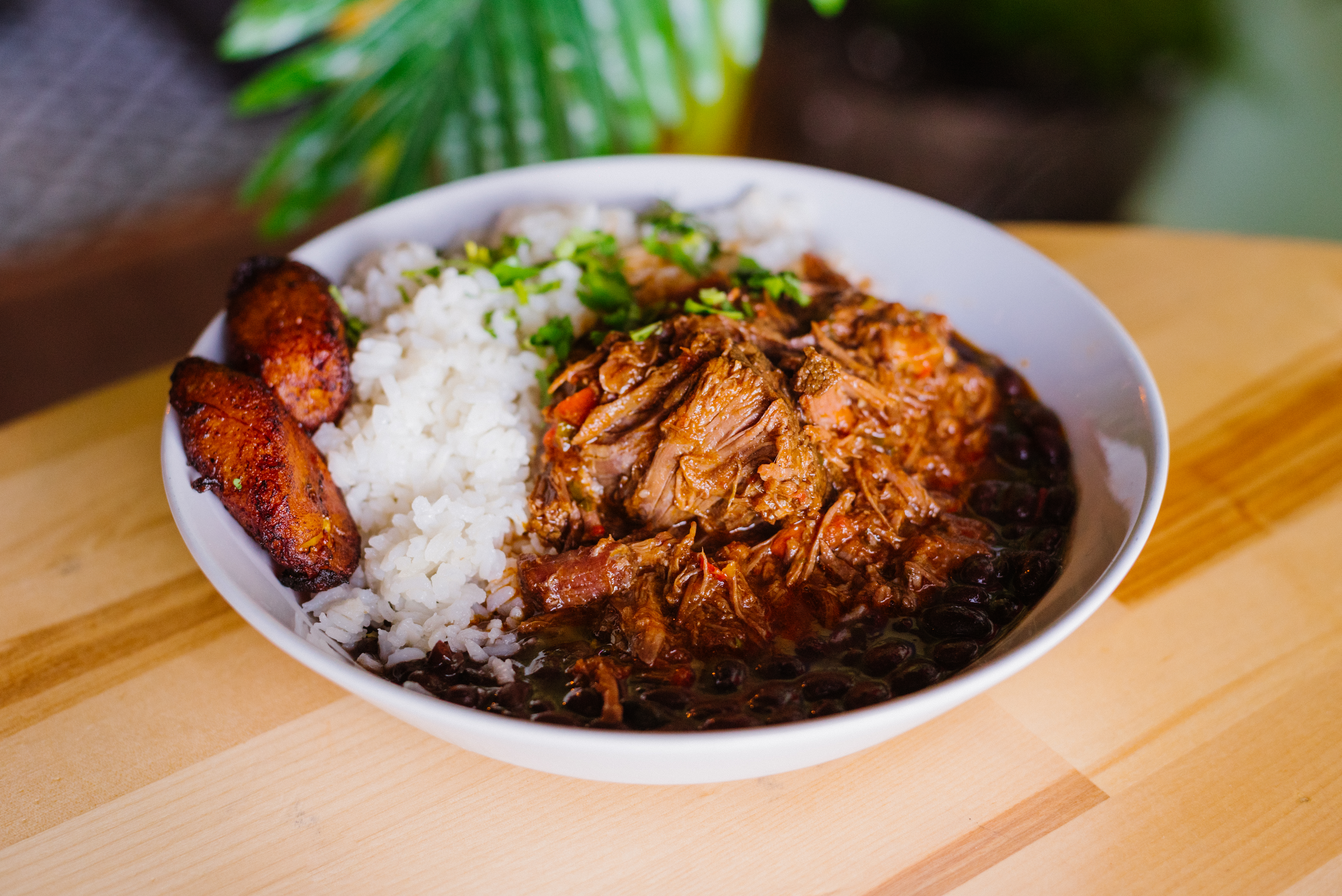 Ropa Vieja Bowl.