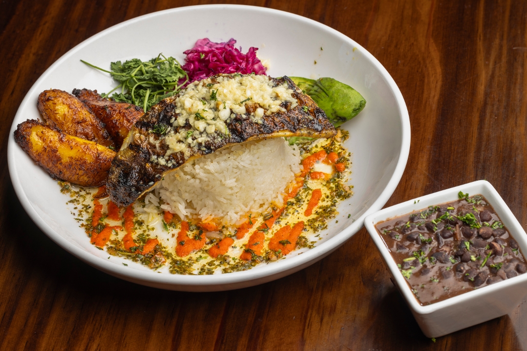 Pargo | Red Snapper.