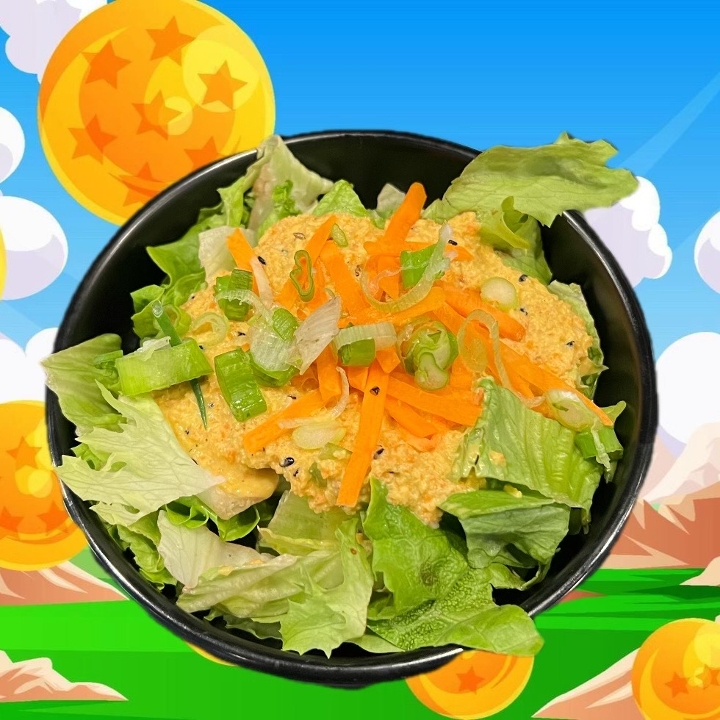 Side Salad (Ginger Dressing).