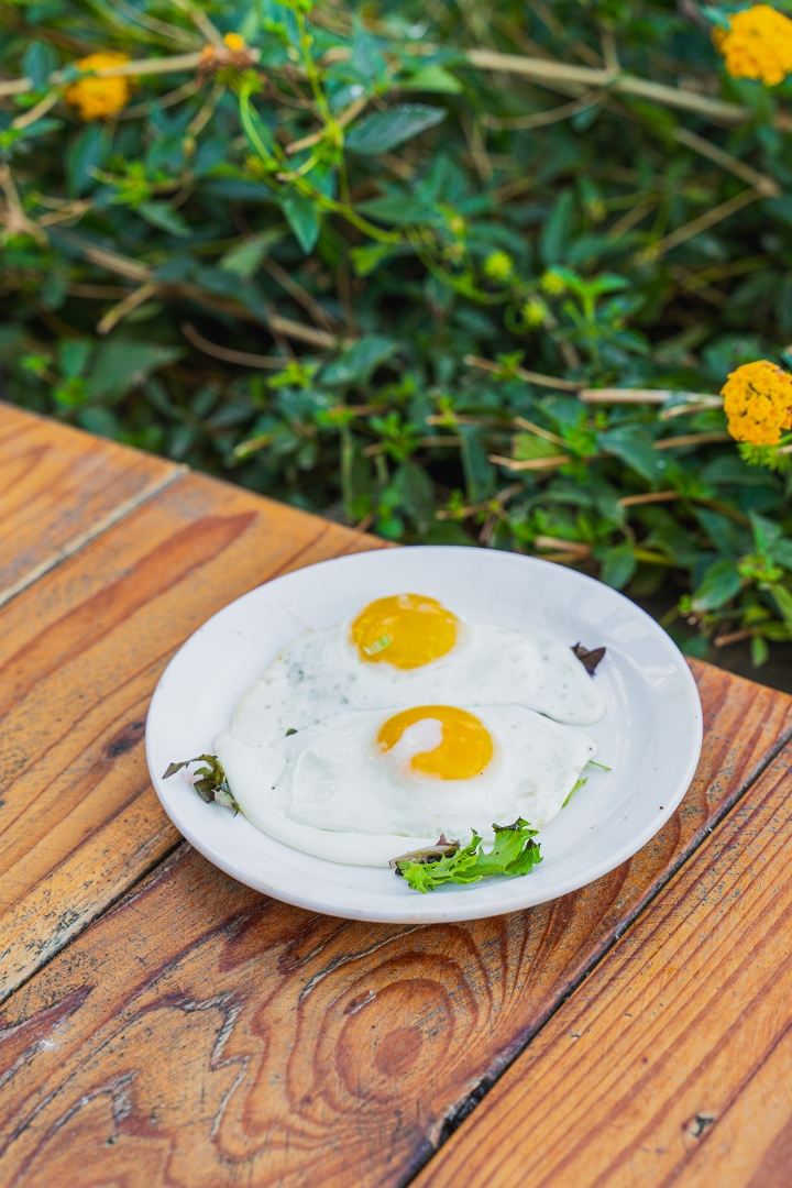 SIDE 2 EGGS.