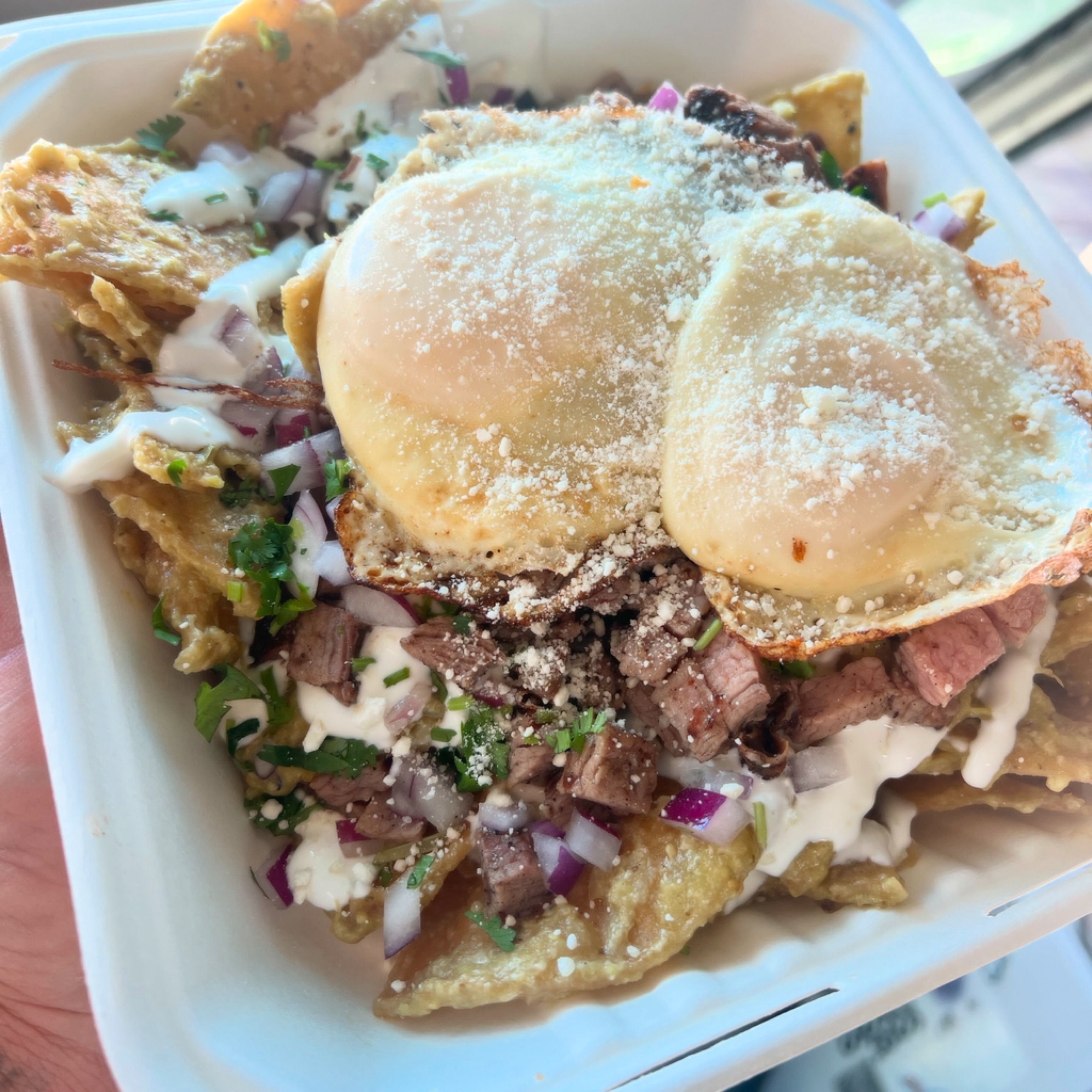 Chilaquiles Plate.