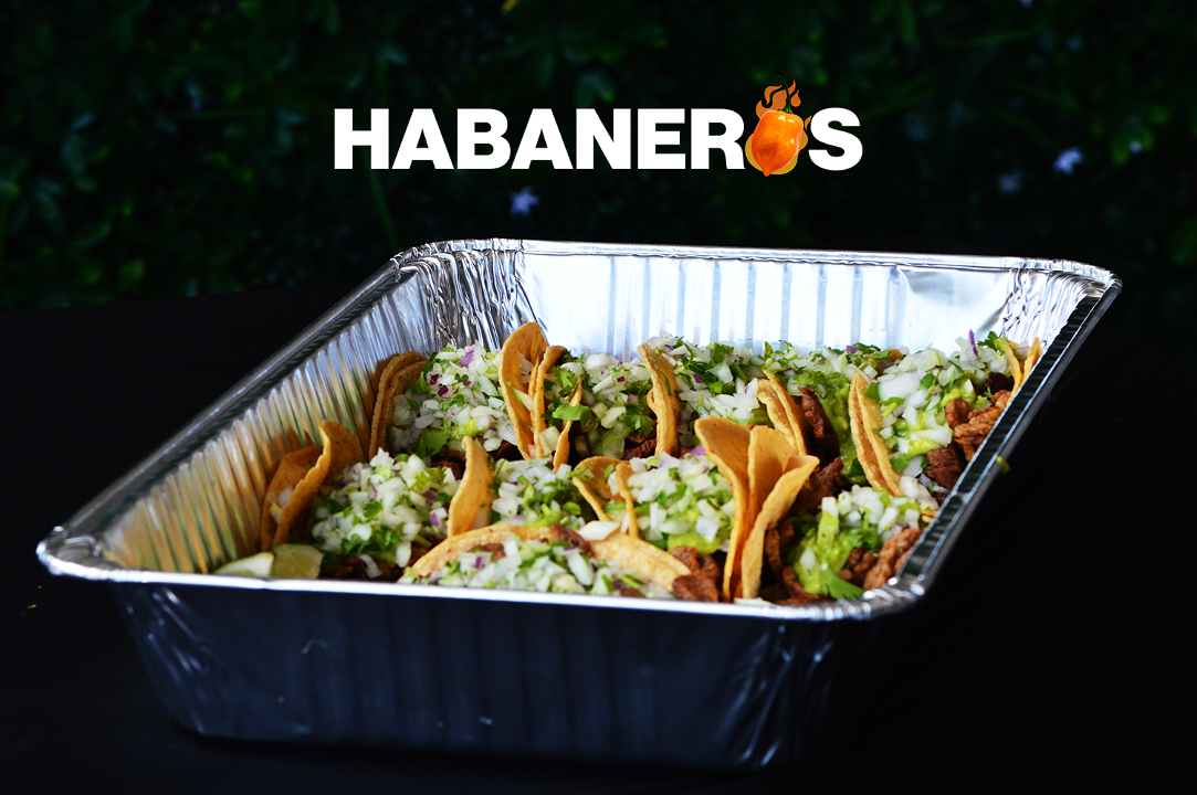 Taco Platter (20).