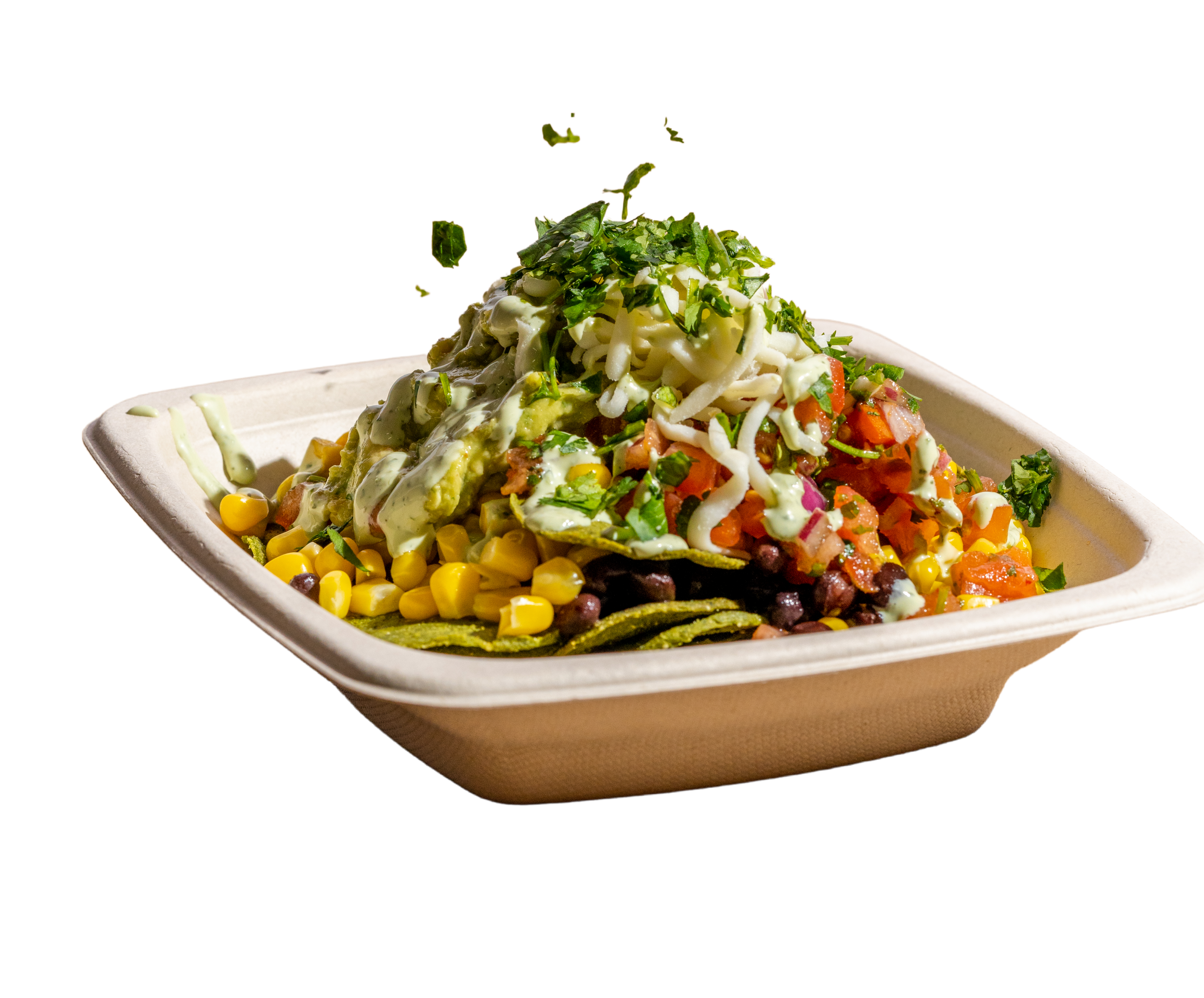 LOADED CHIPS.