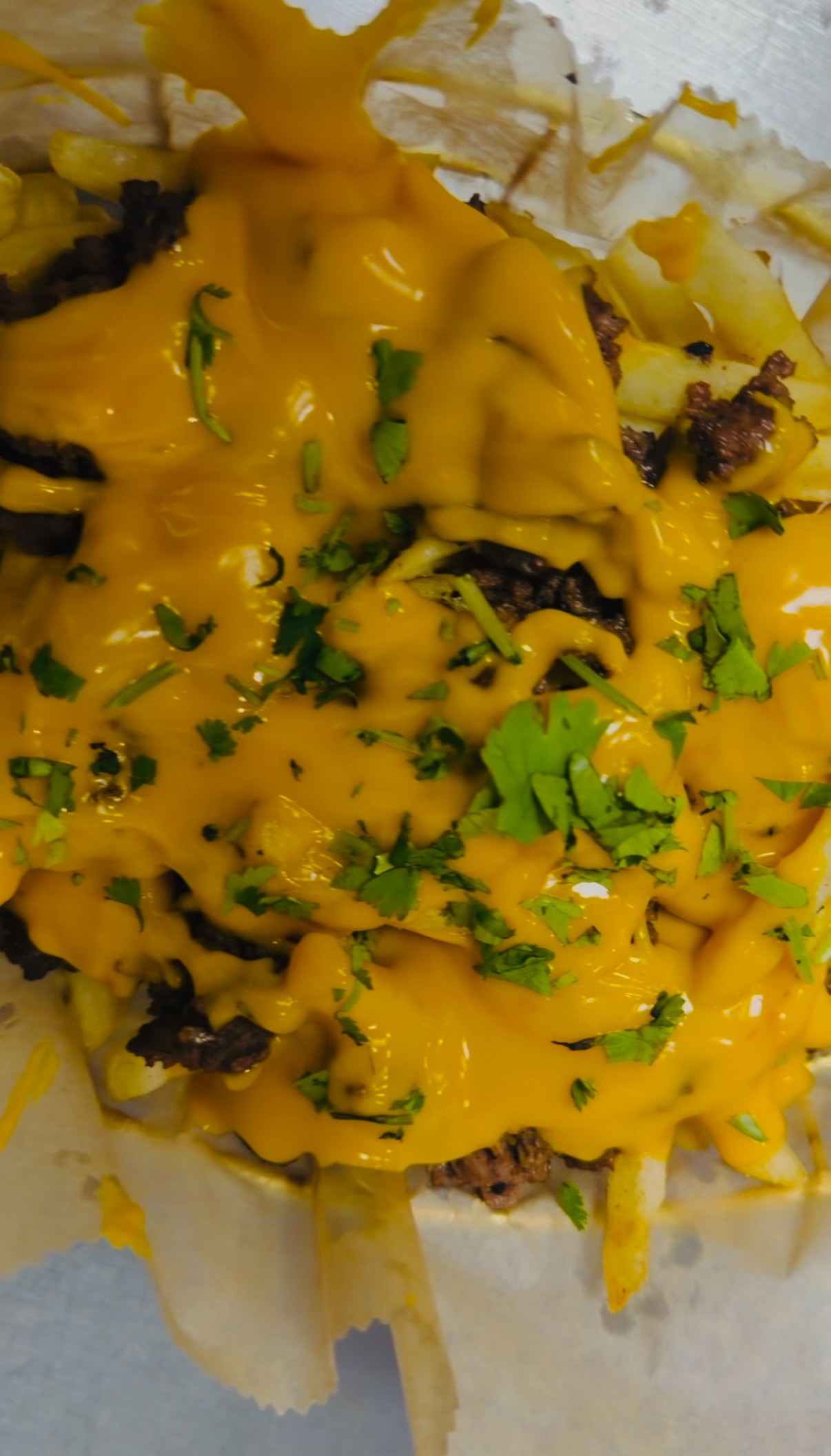Loaded Beef Fries.