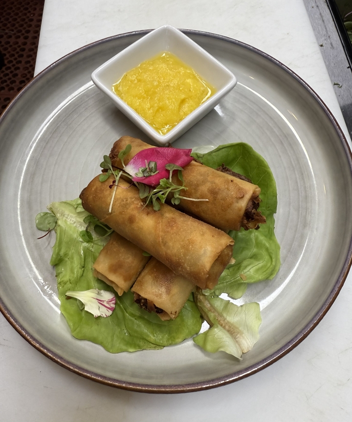 Duck Spring Rolls (4).