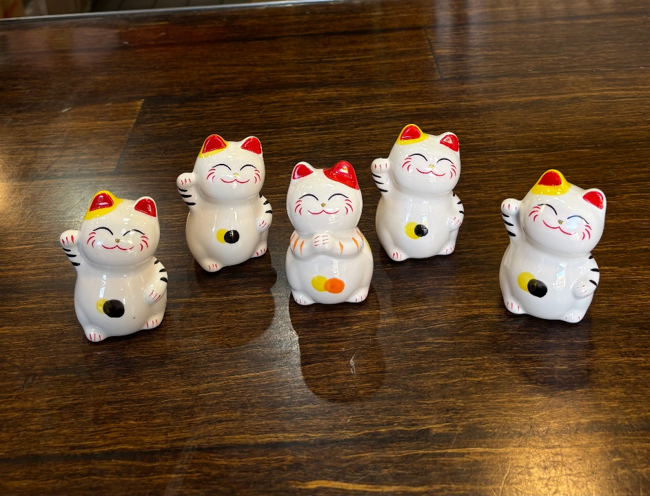Small Money Cat.