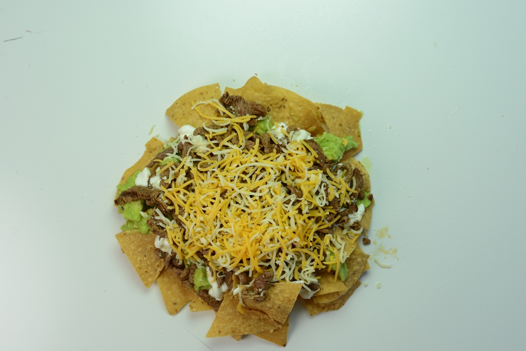 LARGE CARNE ASADA CHIPS.