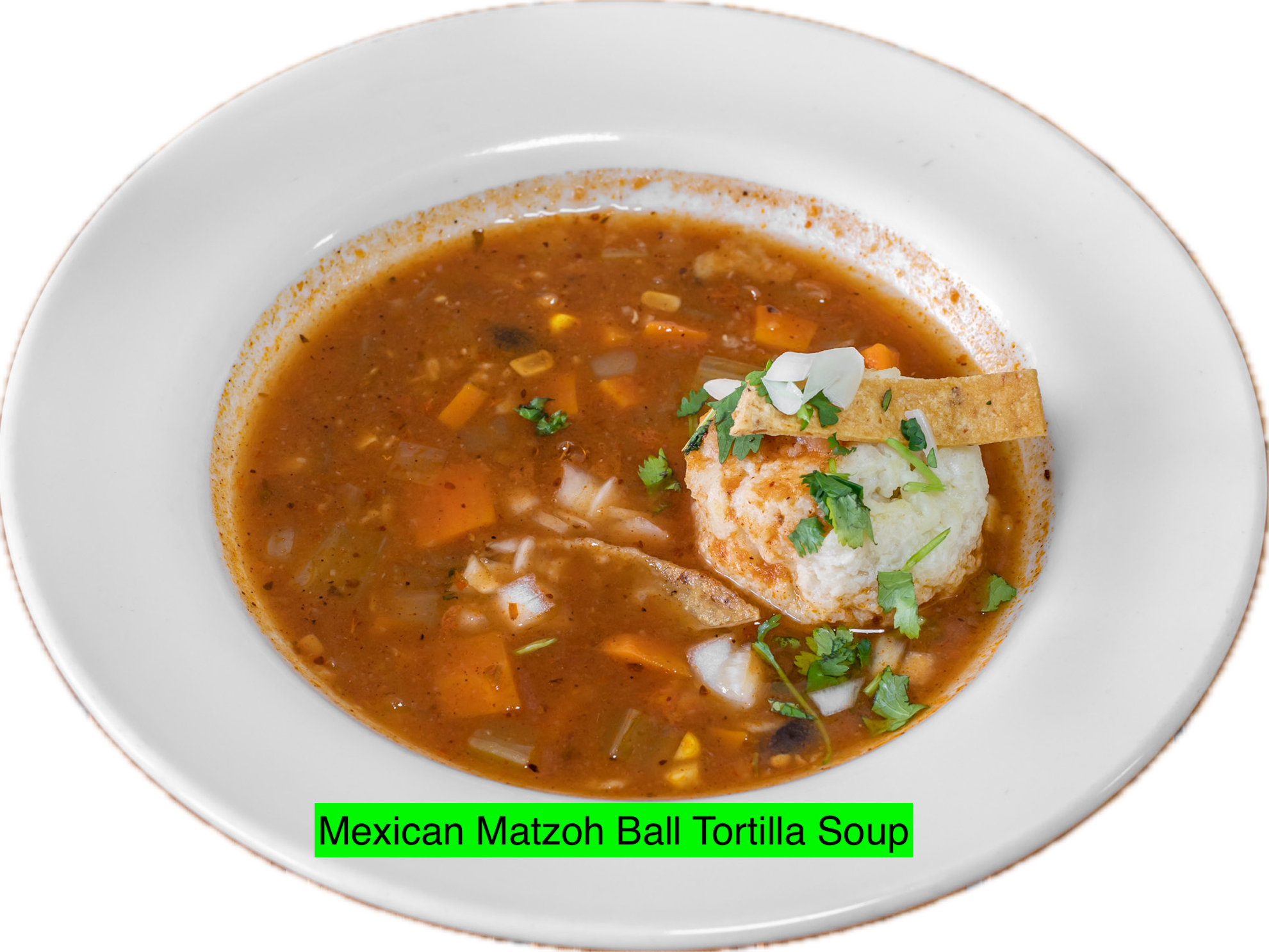 Mexican Matzo Ball Tortilla Soup (V).