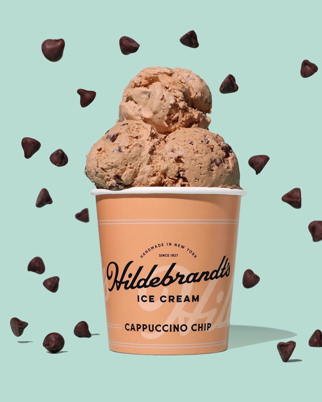 Cappuccino Chip Pint.